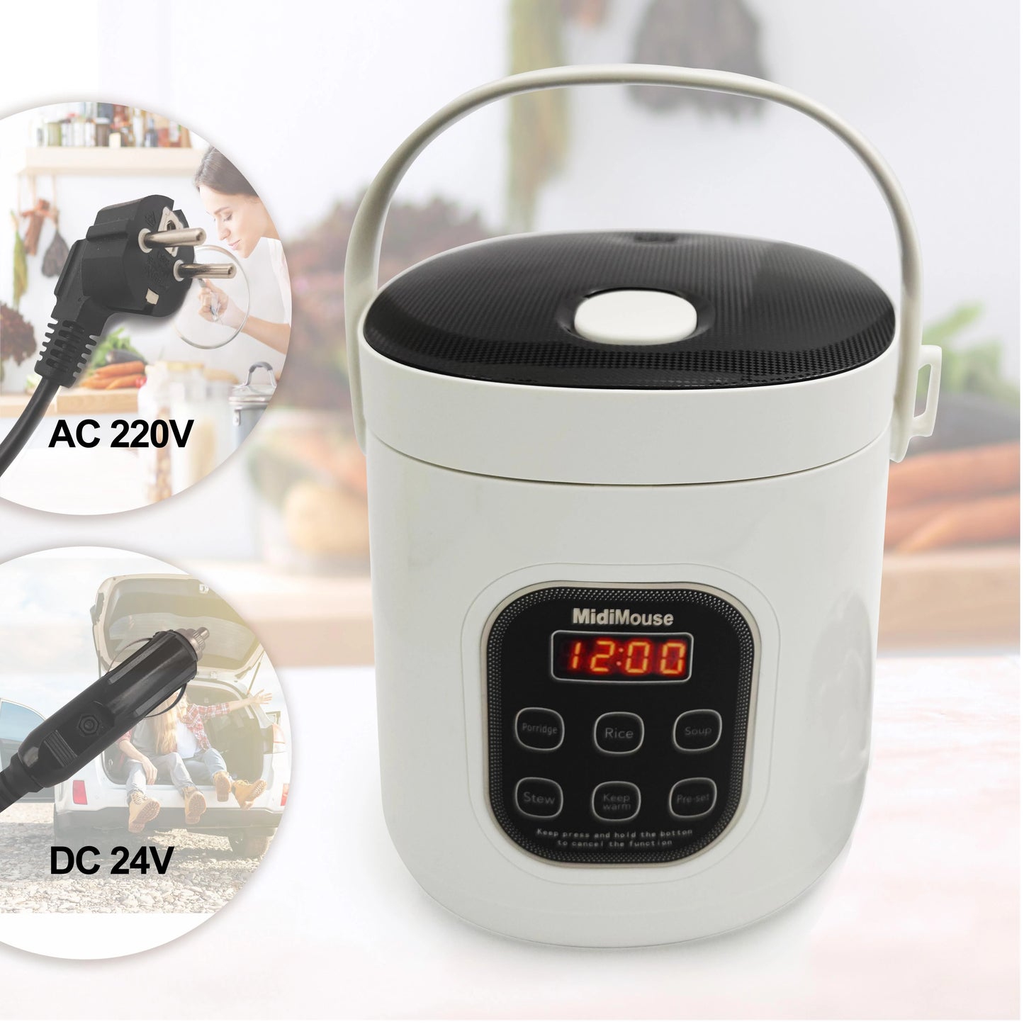Dual-Voltage Car and Home Rice Cooker